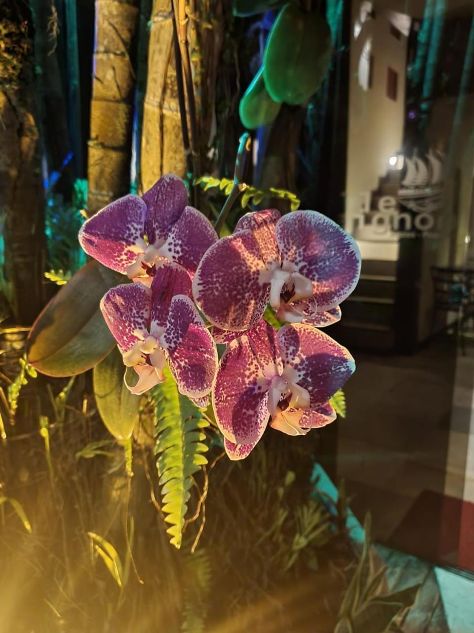 Pousada Villegaignon Armacao dos Buzios Luaran gambar